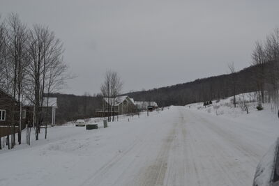 DSC_0091.JPG