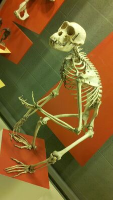 2013-03-29_15-01-42_460.jpg