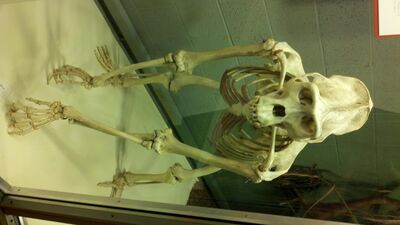 2013-03-29_15-02-09_975.jpg