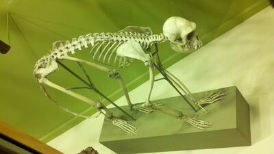 2013-03-29_15-02-27_983.jpg