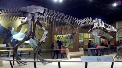 2013-03-29_15-03-49_519.jpg