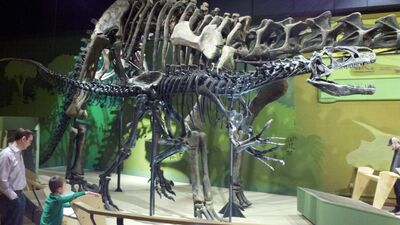 2013-03-29_15-04-25_218.jpg