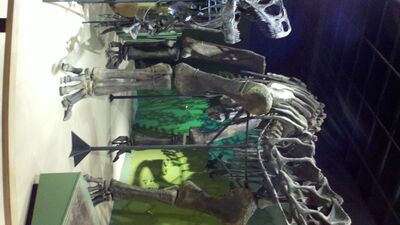 2013-03-29_15-04-46_180.jpg