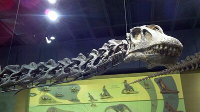 2013-03-29_15-04-52_198.jpg