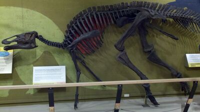 2013-03-29_15-05-15_579.jpg