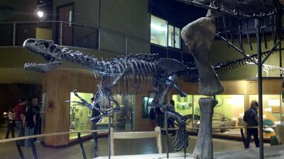 2013-03-29_15-05-30_507.jpg