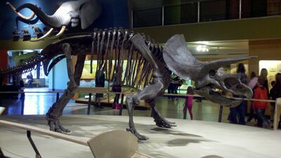 2013-03-29_15-05-45_844.jpg