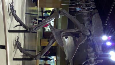 2013-03-29_15-05-58_274.jpg