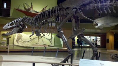 2013-03-29_15-07-39_762.jpg