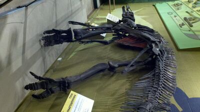 2013-03-29_15-07-50_859.jpg