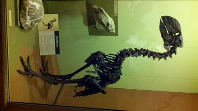2013-03-29_15-08-12_967.jpg