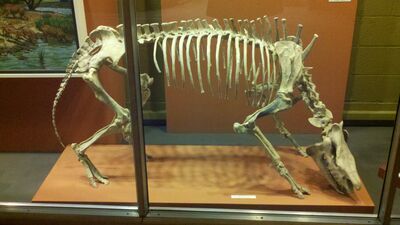 2013-03-29_15-08-29_3.jpg
