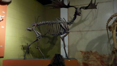 2013-03-29_15-08-55_31.jpg