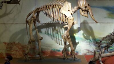 2013-03-29_15-09-07_532.jpg