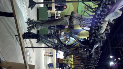 2013-03-29_15-15-25_712.jpg
