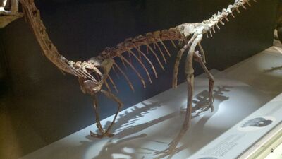 2013-03-29_15-15-49_811.jpg