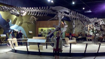 2013-03-29_15-17-29_611.jpg