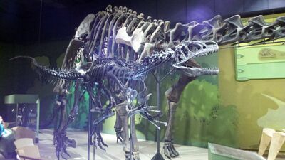 2013-03-29_15-17-46_673.jpg