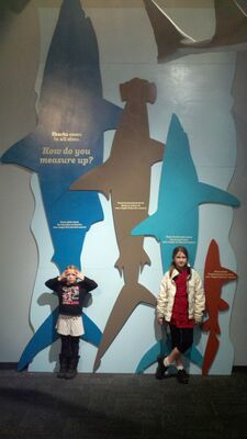 2013-03-29_16-00-08_838.jpg