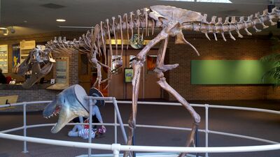 2013-03-29_16-05-59_361.jpg