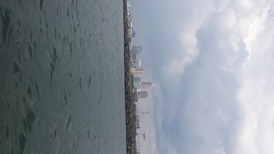 20130703_142347.jpg