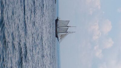 20130703_150503.jpg