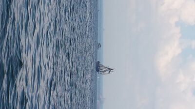 20130703_151330.jpg