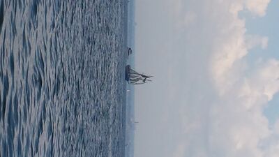 20130703_151334.jpg