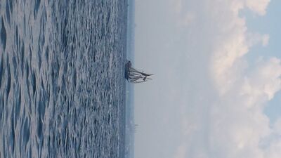 20130703_151340.jpg