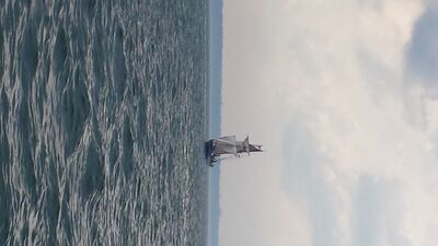 20130703_153055.jpg