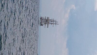 20130703_153420.jpg