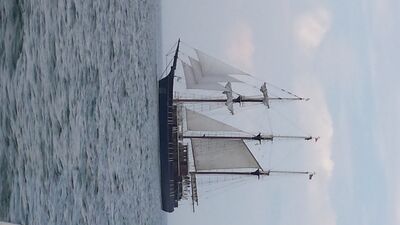 20130703_154208.jpg