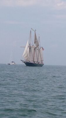 20130703_155415.jpg
