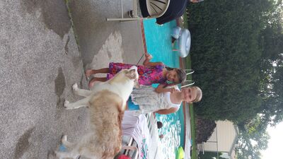 20130714_192936.jpg