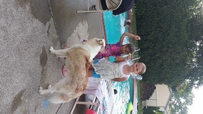 20130714_192938.jpg