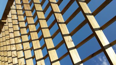 20130721_164354.jpg