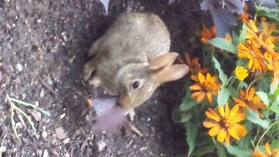 20130727_203604.jpg