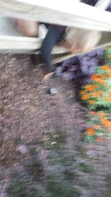 20130727_203625.jpg