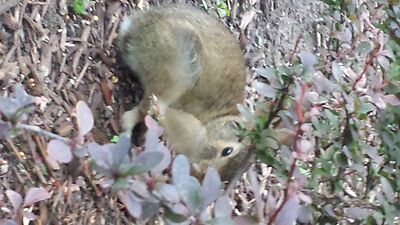 20130727_203654.jpg