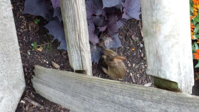 20130727_203714.jpg
