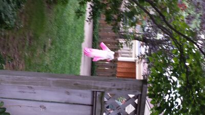20130801_185214.jpg