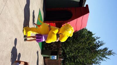 20130818_155015.jpg