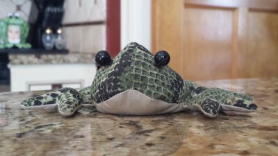 20130830_133146.jpg