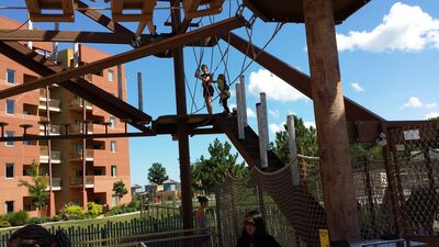 20130803_160006.jpg