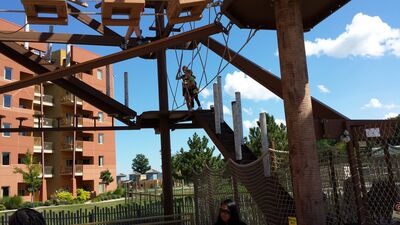 20130803_160008.jpg