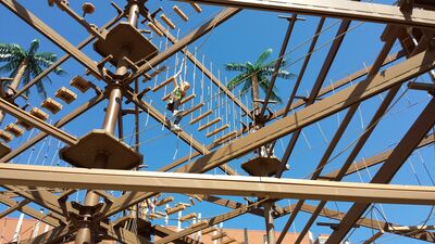20130803_160455.jpg
