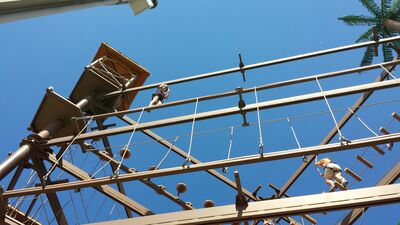 20130803_160953.jpg