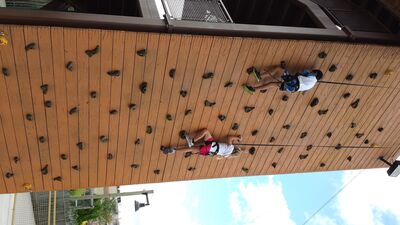 20130804_115032.jpg