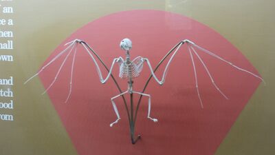 20130813_114528.jpg