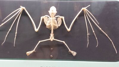 20130813_114553.jpg